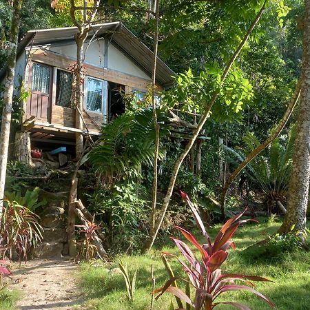 Sumatra Ecolodge Sungaipisang Exterior photo